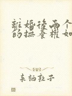 离婚后两个孩子的抚养权如何分