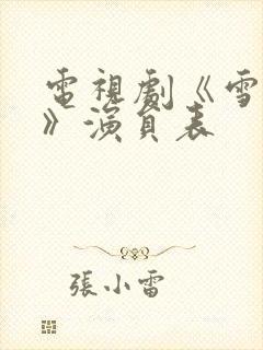 电视剧《雪迷宫》演员表