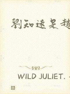 刘知远是赵匡胤