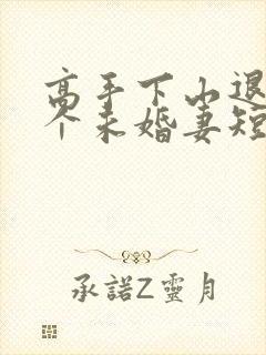 高手下山退婚九个未婚妻短剧在线观看全集