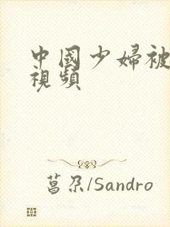 中国少妇被内射视频
