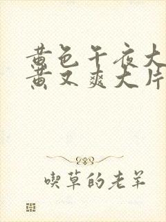 黄色午夜大片又黄又爽大片