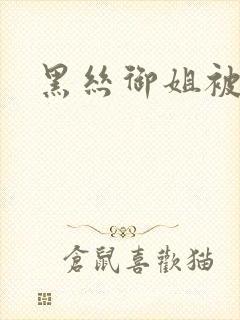 黑丝御姐被强操