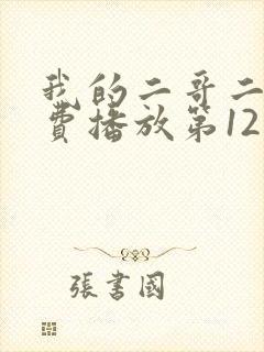 我的二哥二嫂免费播放第12集