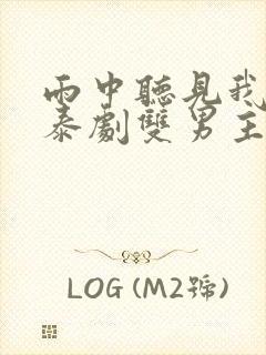 雨中听见我爱你泰剧双男主封面