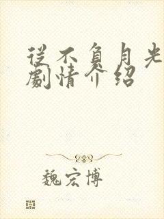 从不负月光短剧剧情介绍