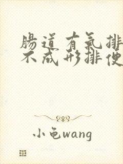 肠道有气排便少不成形排便不尽封面