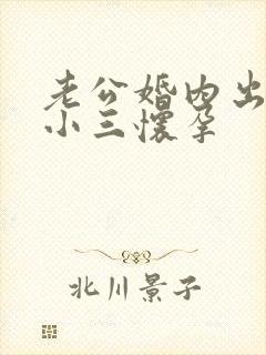 老公婚内出轨至小三怀孕