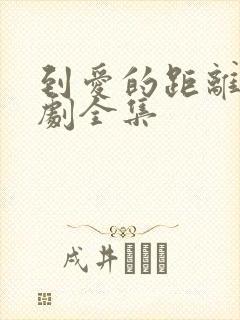 到爱的距离电视剧全集