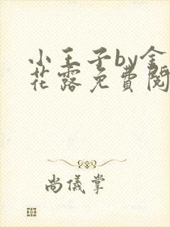 小王子by金银花露免费阅读笔趣阁