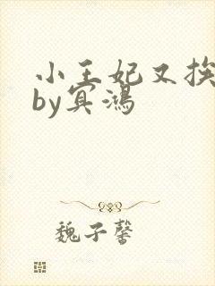 小王妃又挨揍了by冥鸿