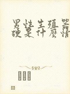 男性生殖器不够硬是什么情况