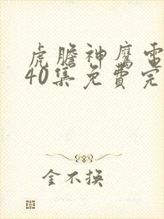 虎胆神鹰电视剧40集免费完整版封面