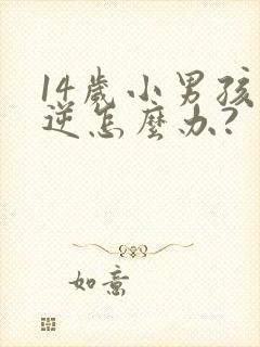 14岁小男孩叛逆怎么办?