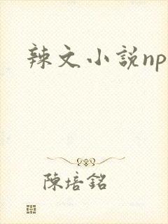 辣文小说np文