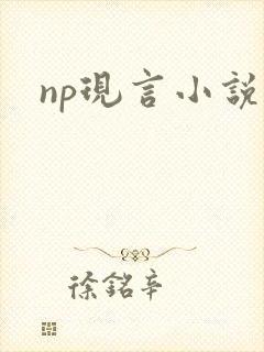 np现言小说h