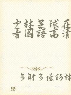 少林足球在线观看国语高清