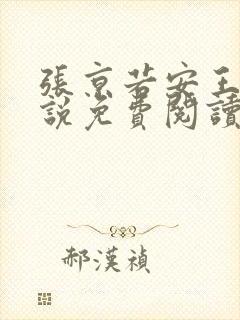张京若安王妃小说免费阅读无弹窗