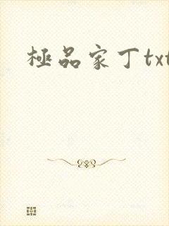极品家丁txt