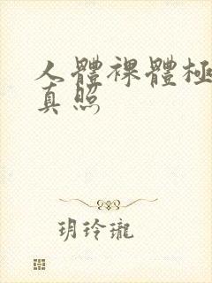 人体裸体极品写真照