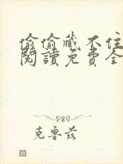 偷偷藏不住小说阅读免费全文