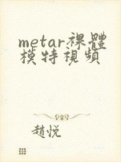 metar裸体模特视频