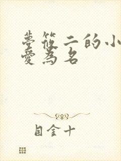 梦筱二的小说以爱为名