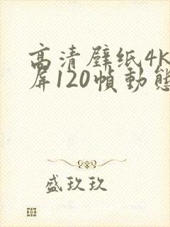 高清壁纸4k全屏120帧动态封面