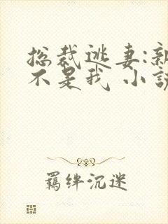 总裁逃妻:新娘不是我 小说封面