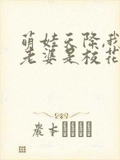 萌娃天降,我的老婆是校花