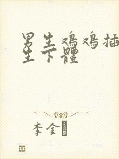 男生鸡鸡插进女生下体