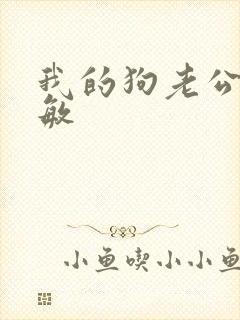 我的狗老公李淑敏