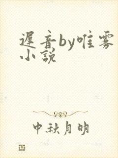 迟音by唯雾的小说