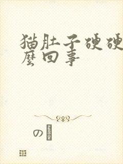 猫肚子硬硬的怎么回事