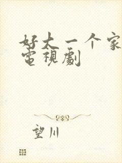 好大一个家全集电视剧