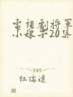 电视剧将军家的小娘子20集至40集封面