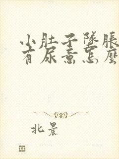 小肚子坠胀感总有尿意怎么回事