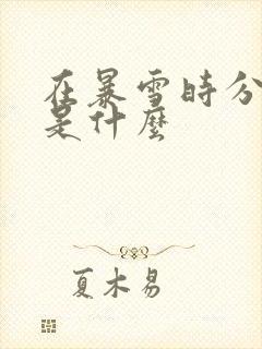 在暴雪时分讲的是什么