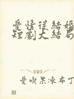 爱情从结婚开始短剧大结局