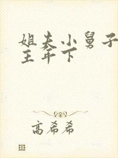 姐夫小舅子双男主年下