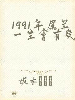 1991年属羊一生会有几个孩子