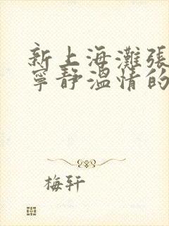 新上海滩张国荣宁静温情的片段