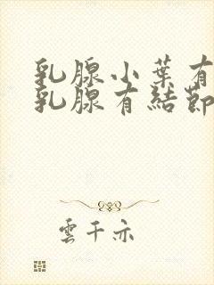 乳腺小叶有增生乳腺有结节