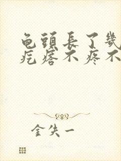 龟头长了几个小疙瘩不疼不痒