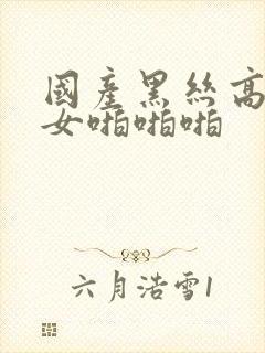 国产黑丝高跟美女啪啪啪封面