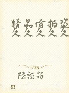 精品偷拍盗摄久久久久久久