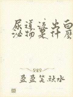 尿道流出白色分泌物是什么情况