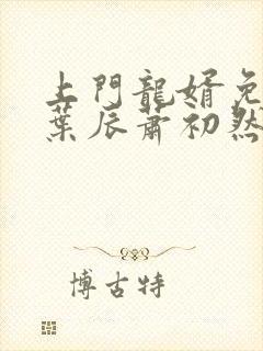 上门龙婿免全文叶辰萧初然