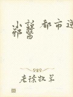 小说 都市逆天邪医