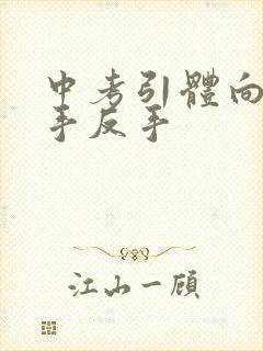 中考引体向上正手反手